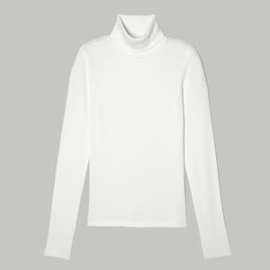Everlane The Pima Micro-Rib Turtleneck
